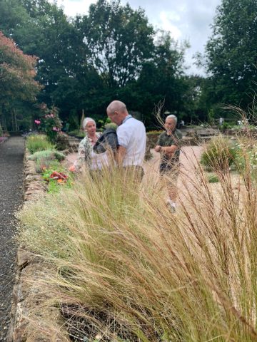 SW in Bloom Sensory Garden Grasses